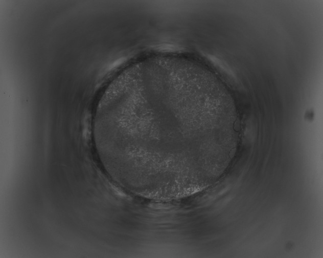 X0000095541301200801041300