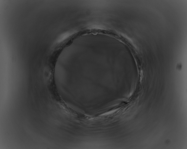 X0000095541303200801041300