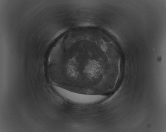 X0000095541305200801041300