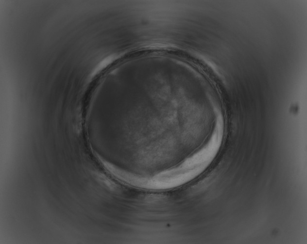 X0000095541306200801041300