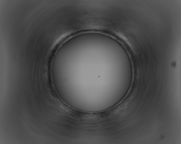 X0000095541307200801041300