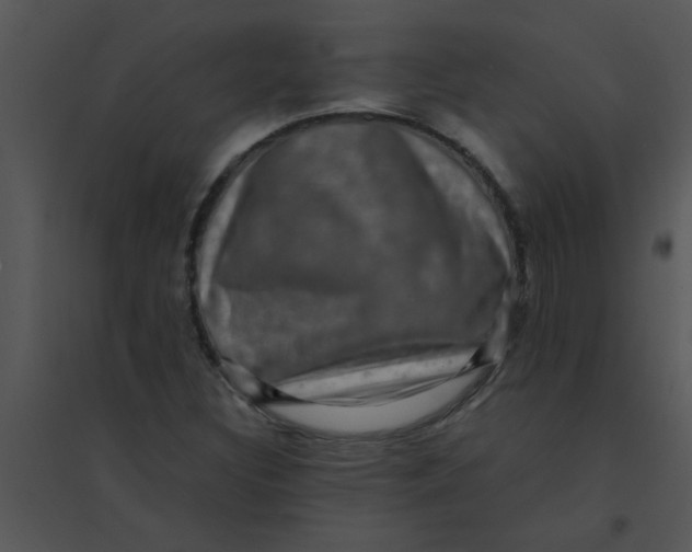 X0000095541308200801041300