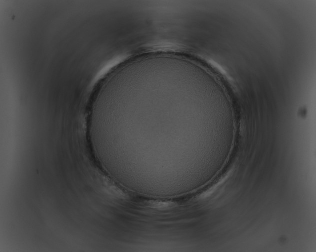 X0000095541309200801041300