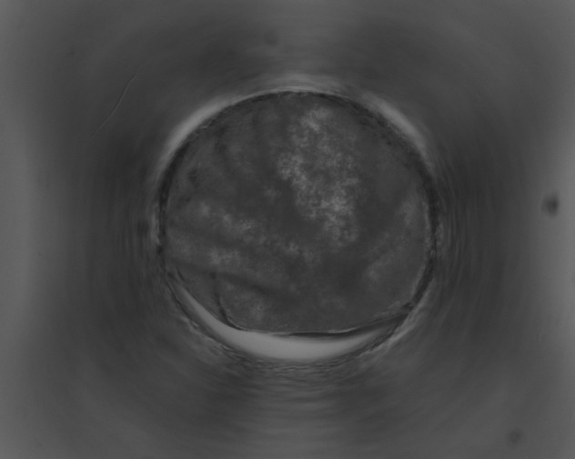 X0000095541310200801041300