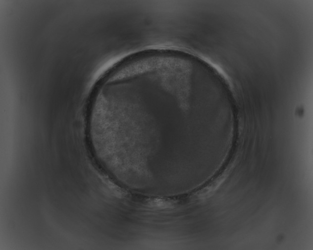 X0000095541311200801041300