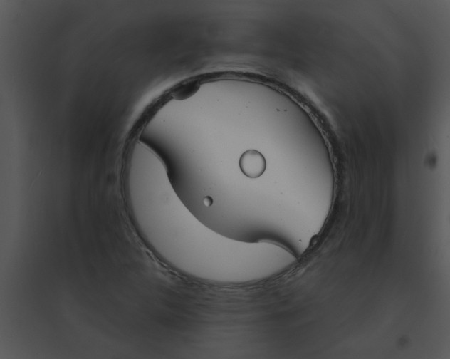 X0000095541312200801041300