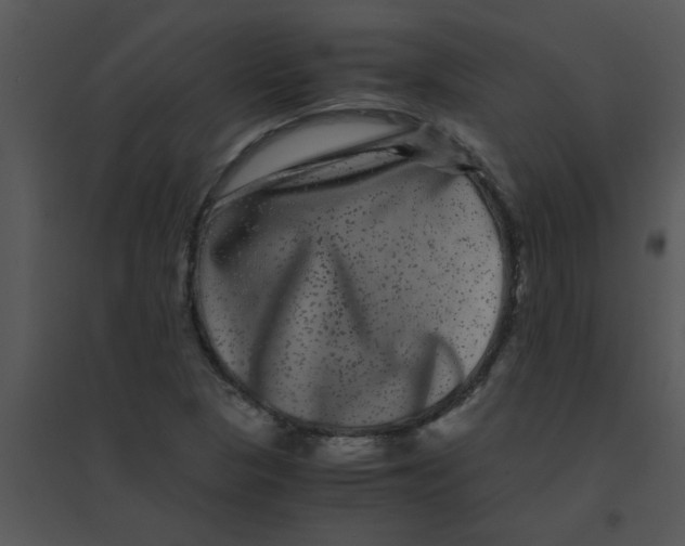 X0000095541313200801041300