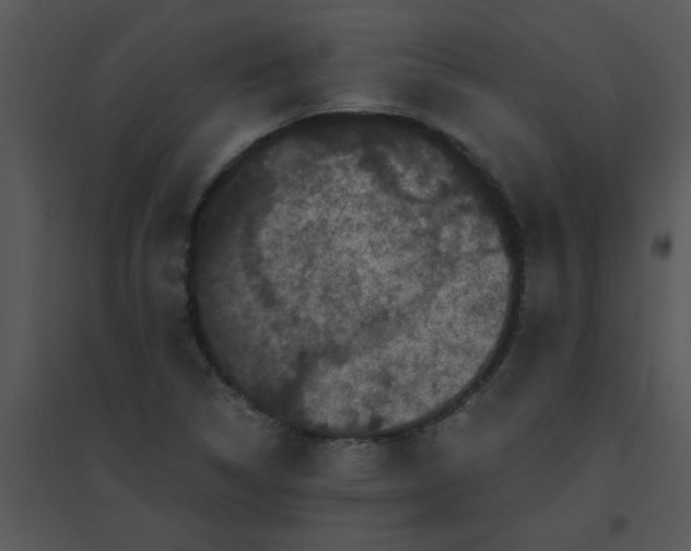 X0000095541314200801041300