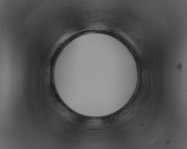 X0000095541315200801041300