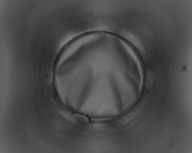 X0000095541316200801041300