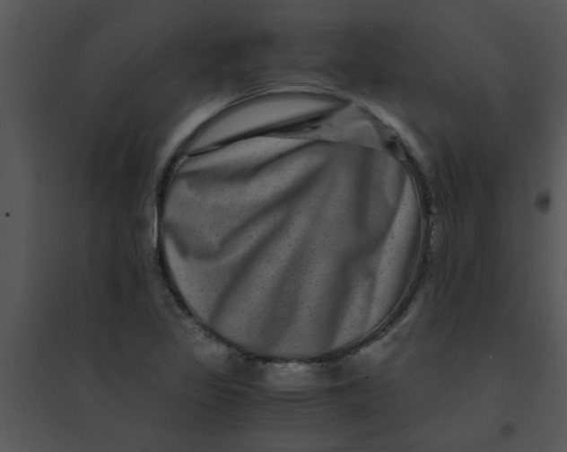 X0000095541317200801041300