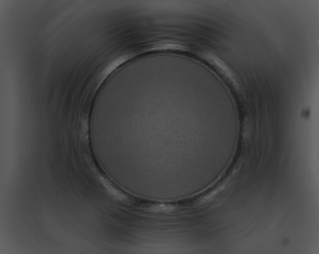 X0000095541321200801041300