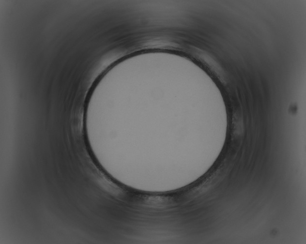 X0000095541322200801041300