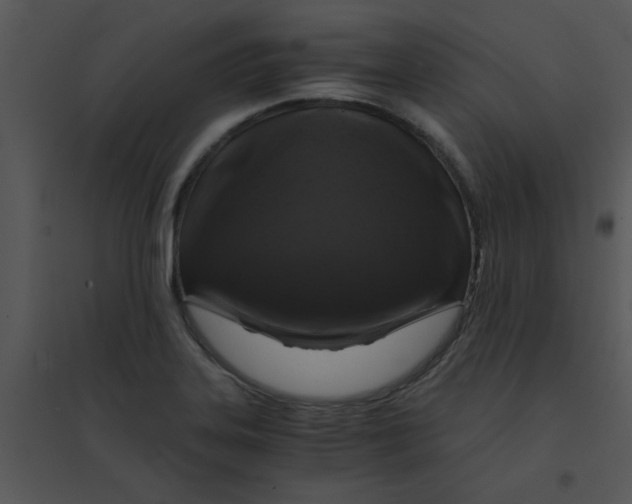 X0000095541323200801041300