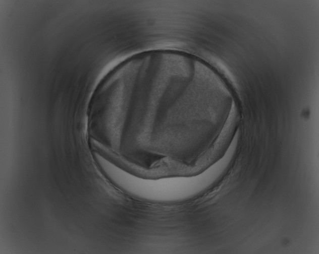 X0000095541324200801041300