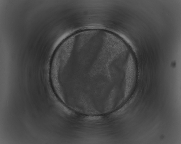 X0000095541325200801041300