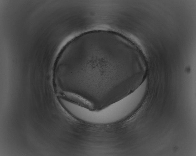 X0000095541326200801041300