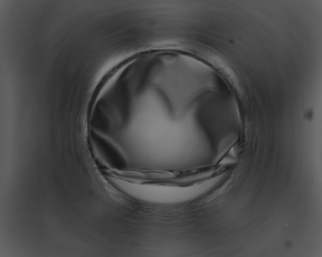 X0000095541328200801041300