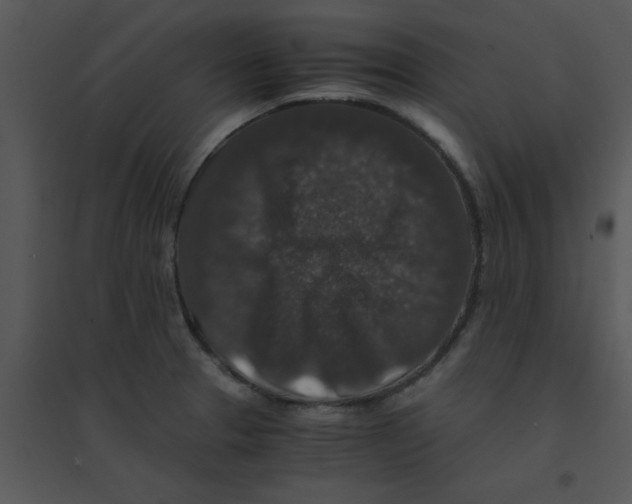 X0000095541329200801041300