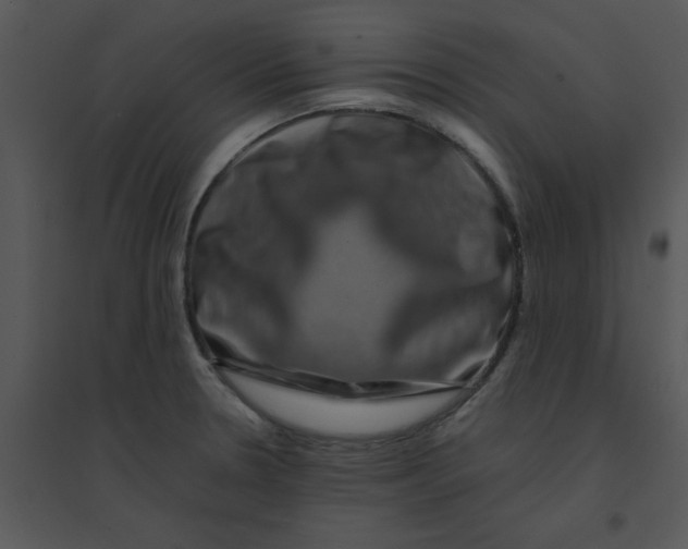 X0000095541330200801041301