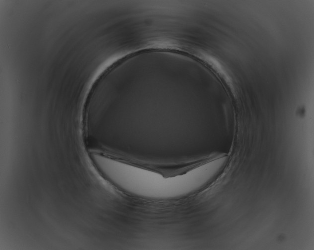 X0000095541331200801041301