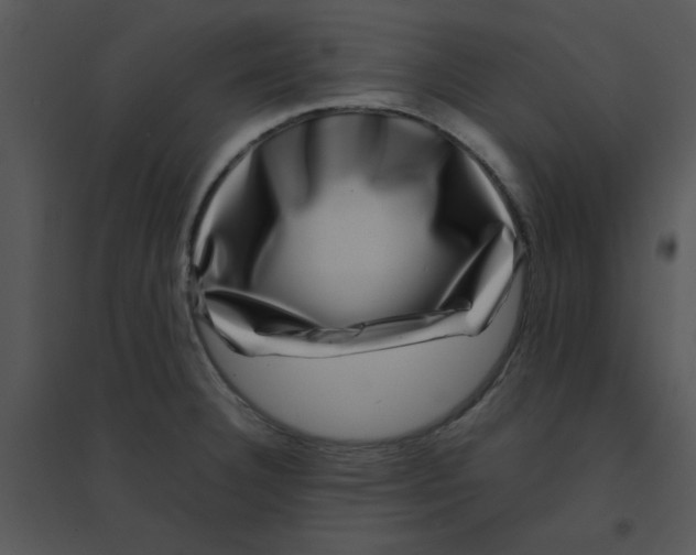 X0000095541332200801041301