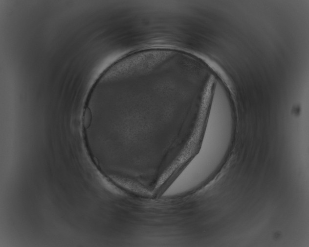 X0000095541333200801041301