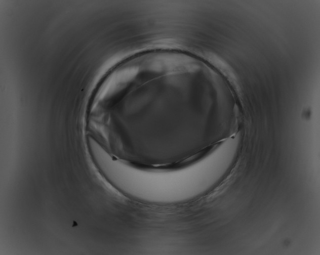 X0000095541334200801041301