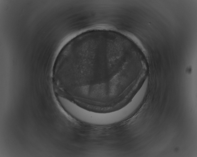 X0000095541335200801041301