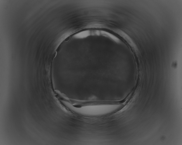 X0000095541337200801041301