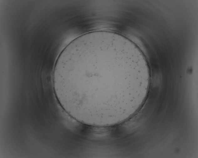 X0000095541338200801041301