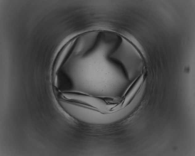 X0000095541339200801041301