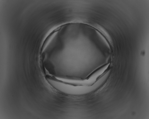 X0000095541340200801041301