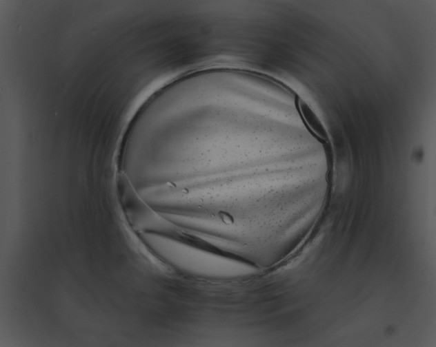 X0000095541341200801041301