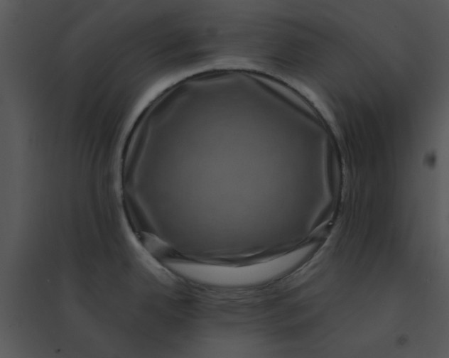 X0000095541342200801041301