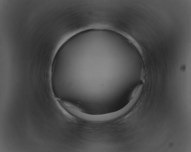 X0000095541343200801041301