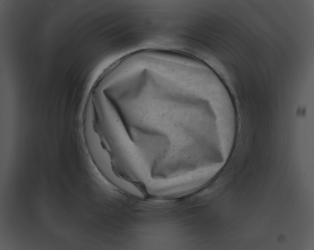 X0000095541344200801041301