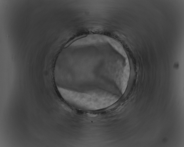 X0000095541345200801041300