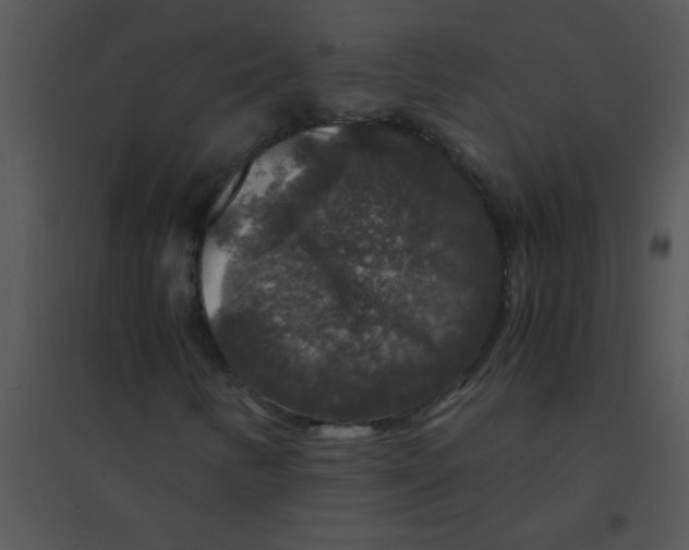 X0000095541346200801041300