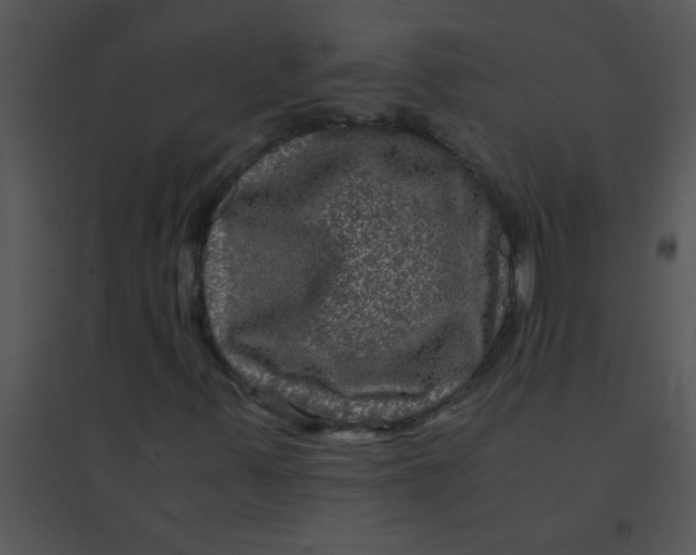 X0000095541347200801041300