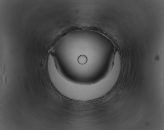 X0000095541348200801041300