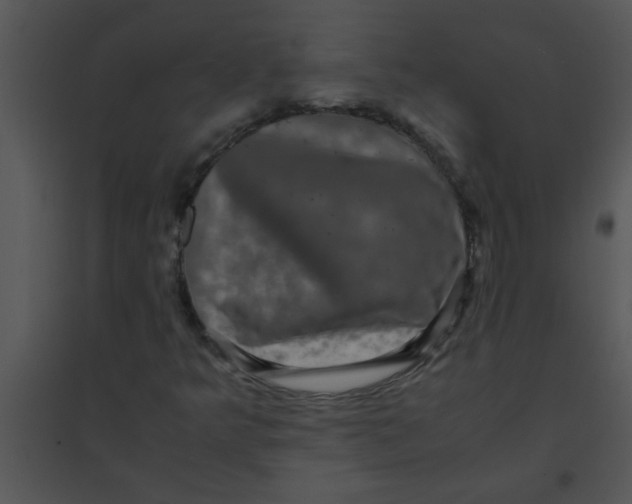 X0000095541349200801041300