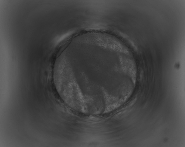 X0000095541350200801041300