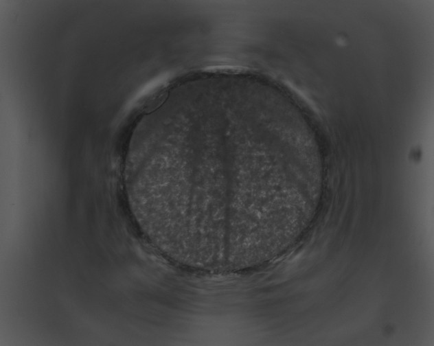 X0000095541351200801041300