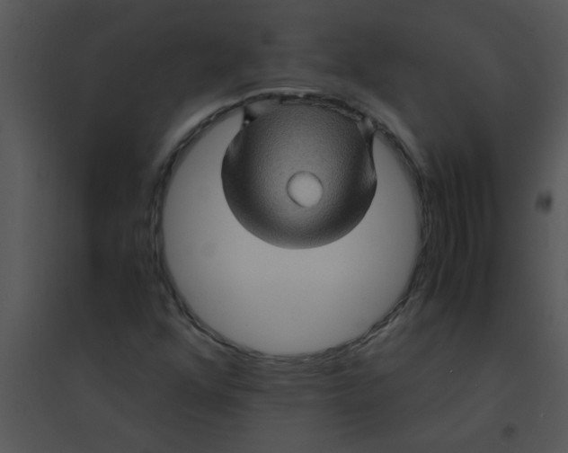 X0000095541352200801041300