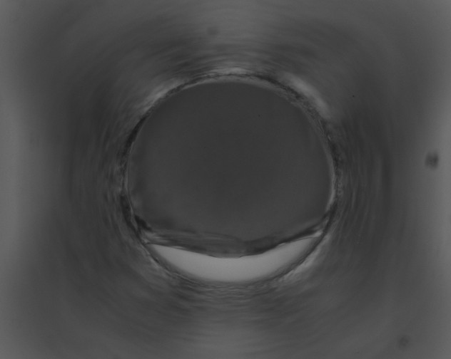 X0000095541353200801041300