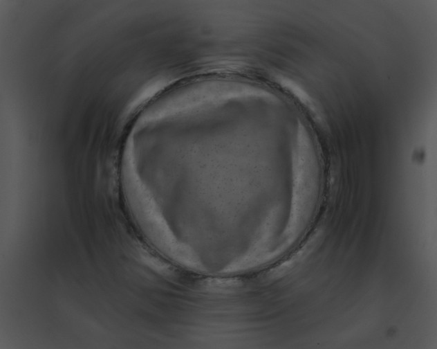 X0000095541354200801041300