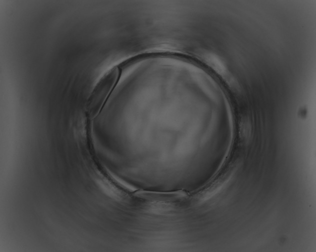 X0000095541356200801041300