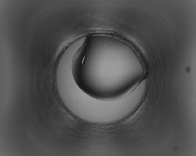 X0000095541357200801041300