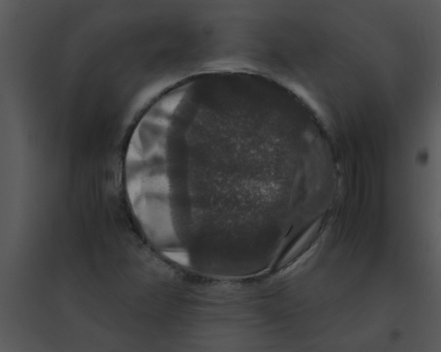 X0000095541358200801041300